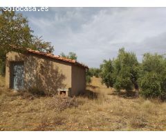 Casita rodeada de olivos