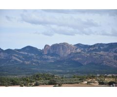 Finca rustica en Venta en Cretas, Teruel