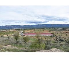 Finca rustica en Venta en Cretas, Teruel