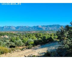 Finca rustica en Venta en Cretas, Teruel