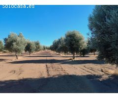 Finca rustica en Venta en Cretas, Teruel