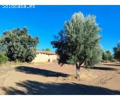 Finca rustica en Venta en Cretas, Teruel