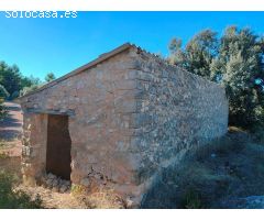 Finca rustica en Venta en Cretas, Teruel