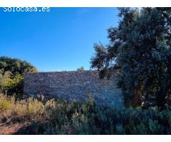 Finca rustica en Venta en Cretas, Teruel