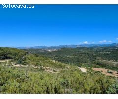 Finca rustica en Venta en Valderrobres, Teruel