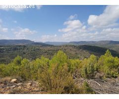 Finca rustica en Venta en Valderrobres, Teruel