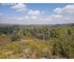 Finca rustica en Venta en Valderrobres, Teruel