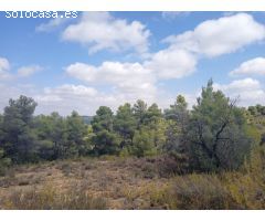 Finca rustica en Venta en Valderrobres, Teruel