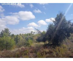 Finca rustica en Venta en Valderrobres, Teruel