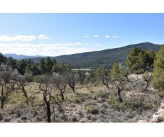 Finca rustica en Venta en Fuentespalda, Teruel