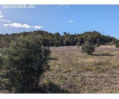 Finca rustica en Venta en Arenys de Lledó    Arens de Lledó, Teruel