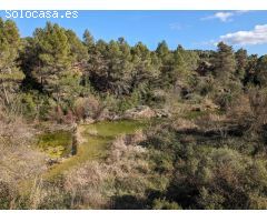 Finca rustica en Venta en Arenys de Lledó    Arens de Lledó, Teruel