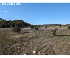 Finca rustica en Venta en Arenys de Lledó    Arens de Lledó, Teruel