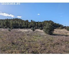 Finca rustica en Venta en Arenys de Lledó    Arens de Lledó, Teruel