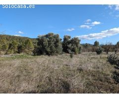 Finca rustica en Venta en Arenys de Lledó    Arens de Lledó, Teruel