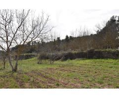 Finca rustica en Venta en Arenys de Lledó    Arens de Lledó, Teruel