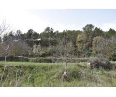 Finca rustica en Venta en Arenys de Lledó    Arens de Lledó, Teruel