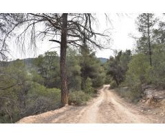 Finca rustica en Venta en Arenys de Lledó    Arens de Lledó, Teruel