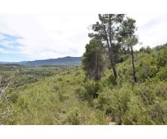 Finca rustica en Venta en Valderrobres, Teruel