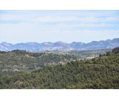 Finca rustica en Venta en Valderrobres, Teruel