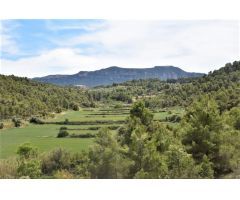 Finca rustica en Venta en Valderrobres, Teruel