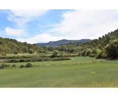 Finca rustica en Venta en Valderrobres, Teruel