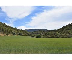 Finca rustica en Venta en Valderrobres, Teruel