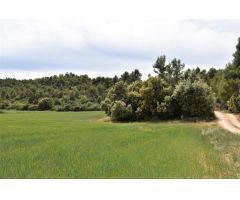 Finca rustica en Venta en Valderrobres, Teruel