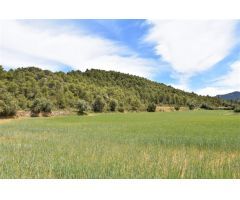 Finca rustica en Venta en Valderrobres, Teruel