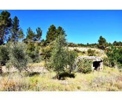 Finca rustica en Venta en La Fresneda, Teruel