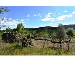 Finca rustica en Venta en La Fresneda, Teruel