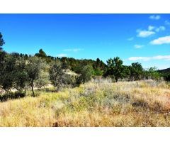 Finca rustica en Venta en La Fresneda, Teruel