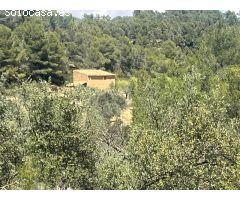 Maset en la montaña