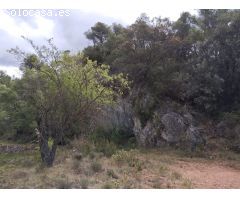 Valle aislado con encanto