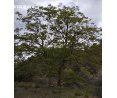 Valle aislado con encanto