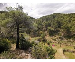 Valle aislado con encanto