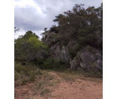 Valle aislado con encanto