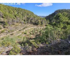 Valle aislado con encanto