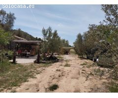 Finca con edificaciones y huerto
