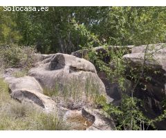 Finca con edificaciones y huerto