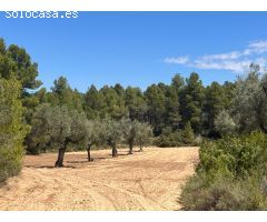 Finca en la montaña con privacidad