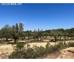 Finca en la montaña con privacidad