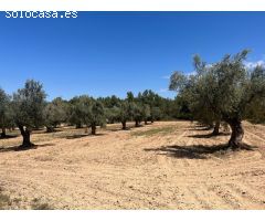Finca en la montaña con privacidad