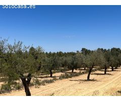Finca en la montaña con privacidad