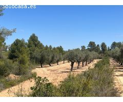 Finca en la montaña con privacidad