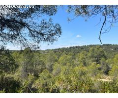Finca en la montaña con privacidad