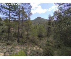 Finca en la montaña con agua
