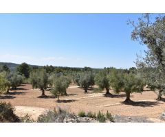 Finca en producción grande