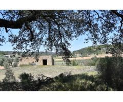 Finca rústica en Lledó