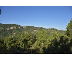 Finca rustica en Venta en Beceite, Teruel